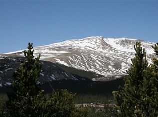 82 Bobcat Ln, Fairplay, CO 80440
