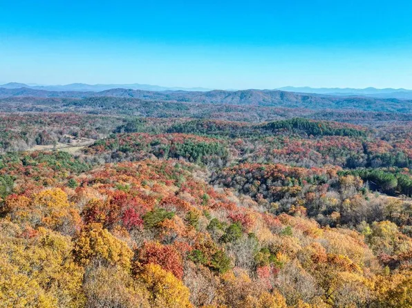 9 Sourwood Mtn, Mineral Bluff, GA 30559