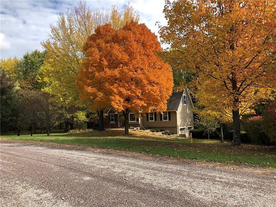 Maple Tree in Full Bloom
