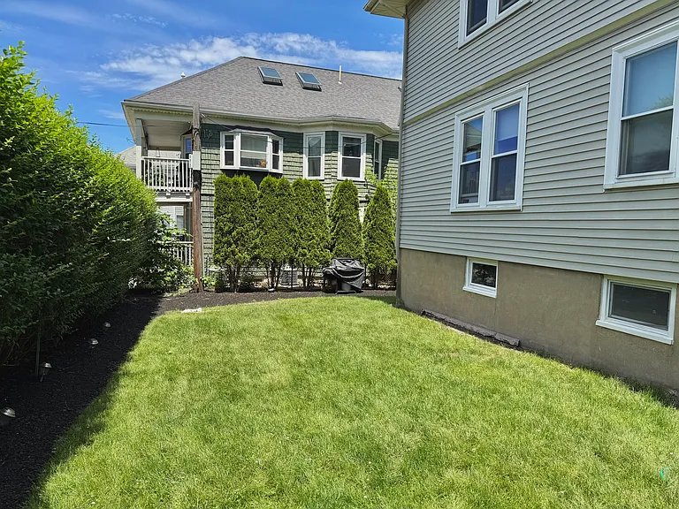 Grassy yard