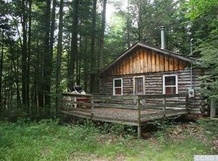 25 Kaplan Rd, East Jewett, NY 12424