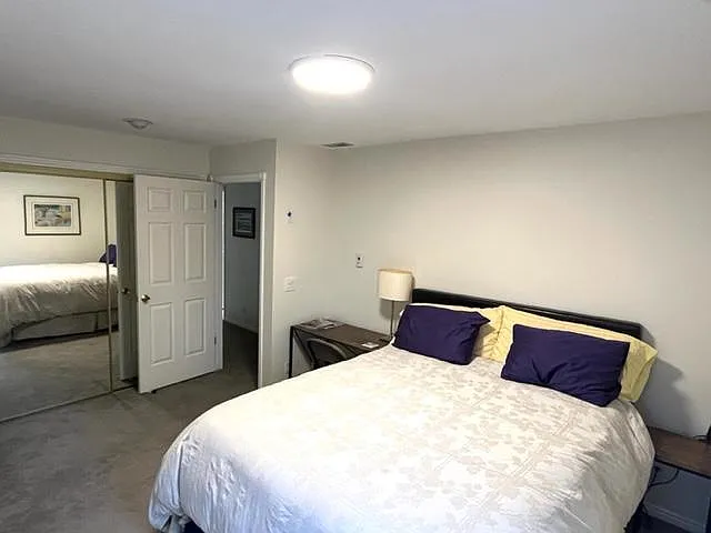2492 Lily Langtry Ct — Photo 28