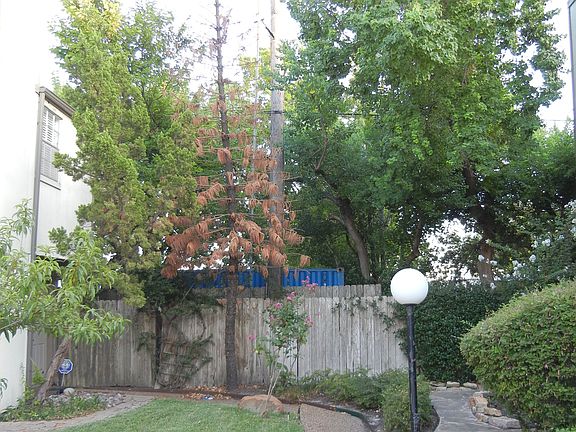 3rd image of 5807 Beverlyhill St APT 19