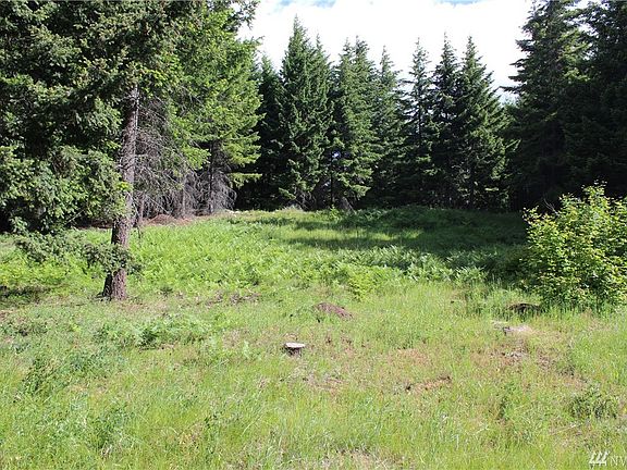 View from golf course into lot