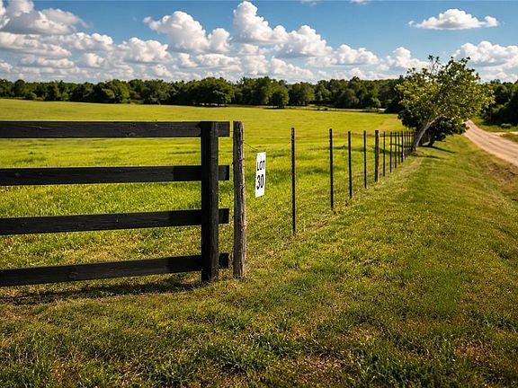 5th image of 2081 County Road 238