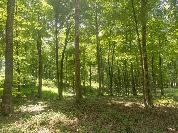 County Road 5, Calhoun, TN 37309