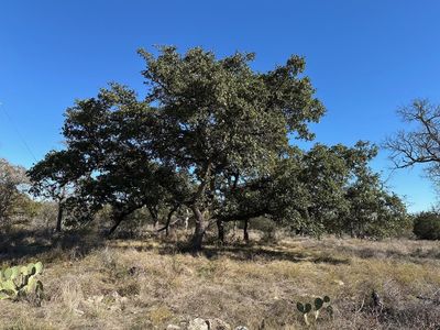 00 FM 2657, Kempner, TX, 76539