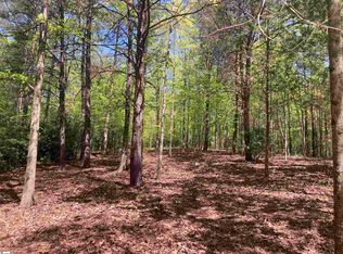 2 Darting Sparrow Way, Marietta, SC 29661