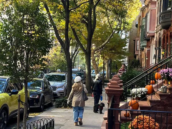 128 East 95th Street image 2 of 47