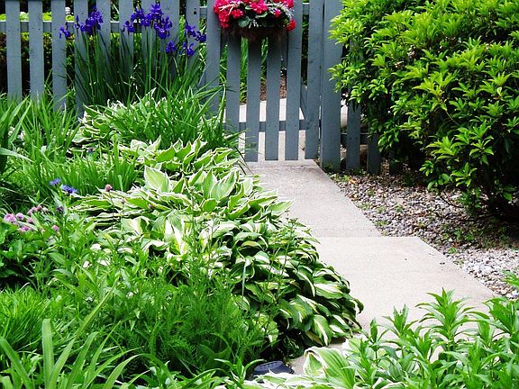 side garden and gate