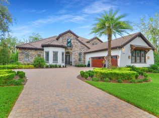 14904 Fishhawk Preserve Dr, Lithia, FL 33547