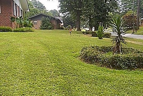2nd image of 577 Plainville Dr SW