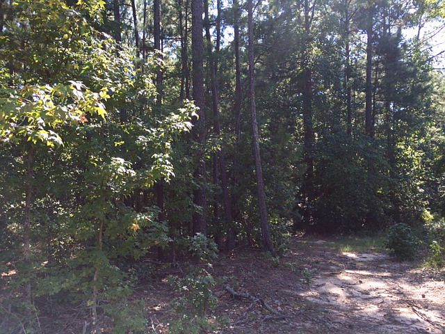 2nd image of 383 Dent Rd