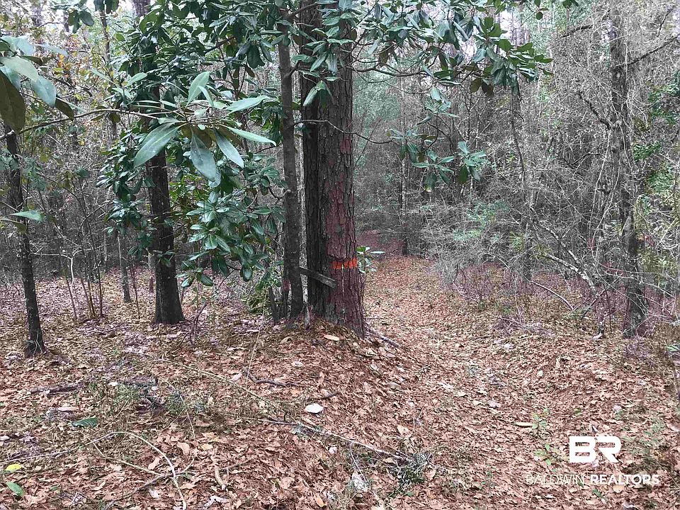 2nd image of 0 Lambert Cemetery Rd