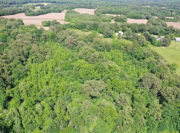 2nd image of 0 Cody Ln