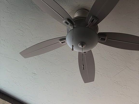 Lanai Outdoor Fan Light