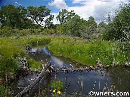 Indian creek at back of property