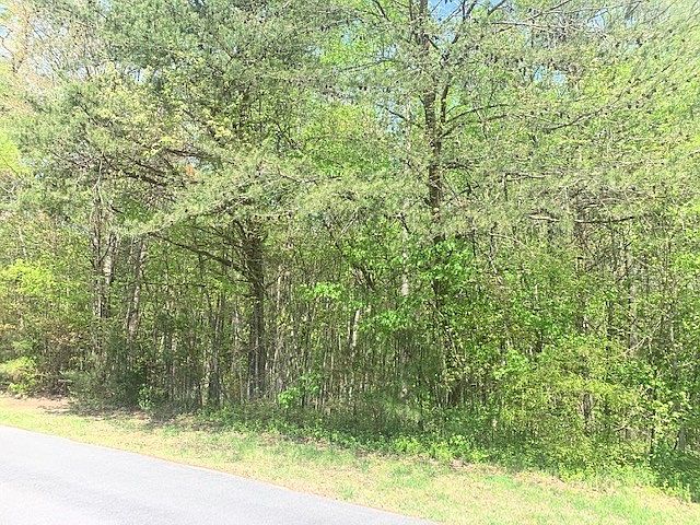 2nd image of 12 Langley Dr Lot 12