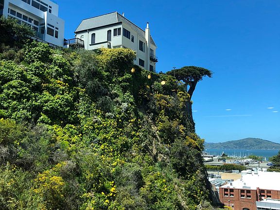 5th image of 240 Lombard St APT 732