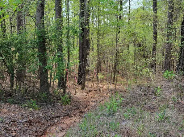 Lake Geneva Dr #23, Wedowee, AL 36278