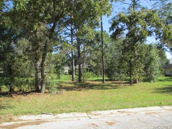 3373 N Bent Tree Point, Lecanto, FL 34461