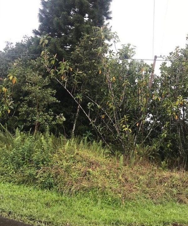 2nd image of 40th St Lot 66
