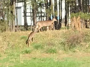 980 Dovefield Dr, York, SC 29745