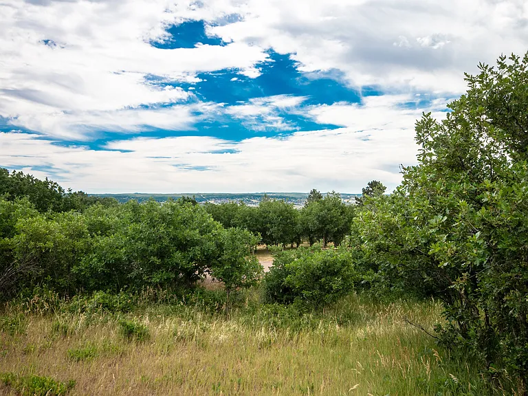 4710 Limestone Rd — Photo 41