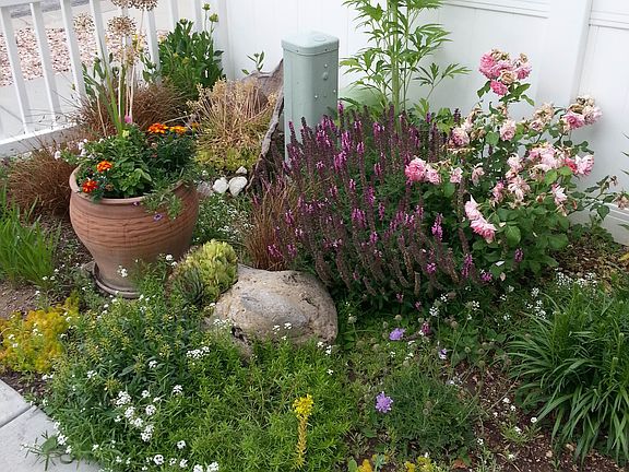 Front Landscaping