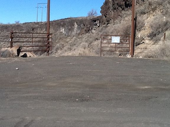 Justice Grade Entrance