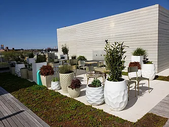 Rented by Lodger Corp