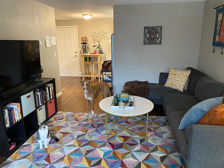 1410 N York St #13 — Photo 11