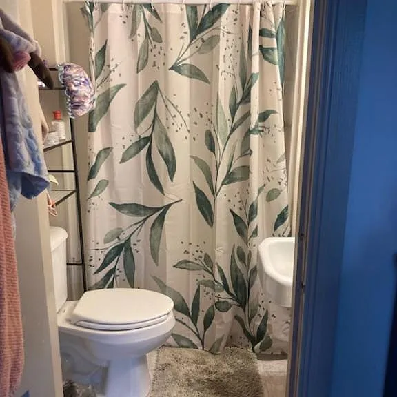 33 W Middle St #203 — Photo 7