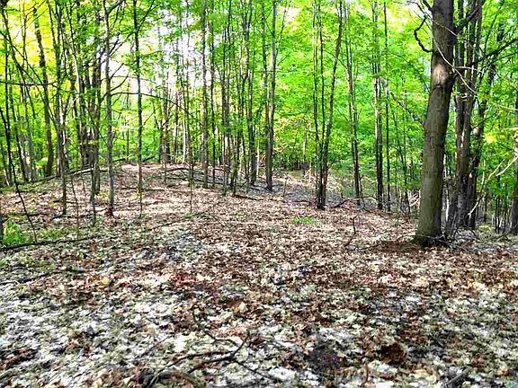 4th image of 0 S Leelanau Way
