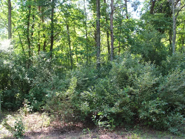 Goney Rd, Grimsley, TN 38565