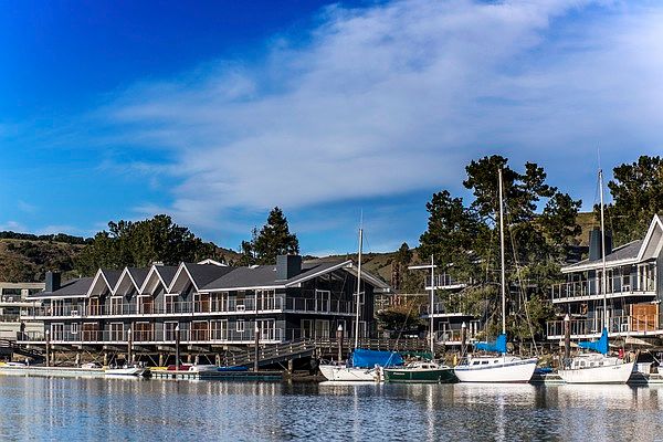 Marina Views