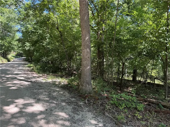 2 Bowers Dr, Camdenton, MO 65020