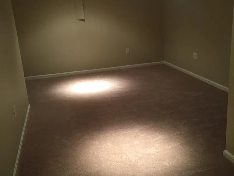 New carpet in basement. Could be used as 3rd bedroom