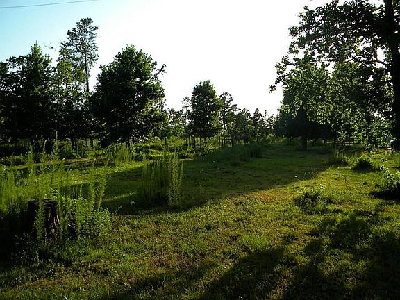 4th image of 0 County Road 2235