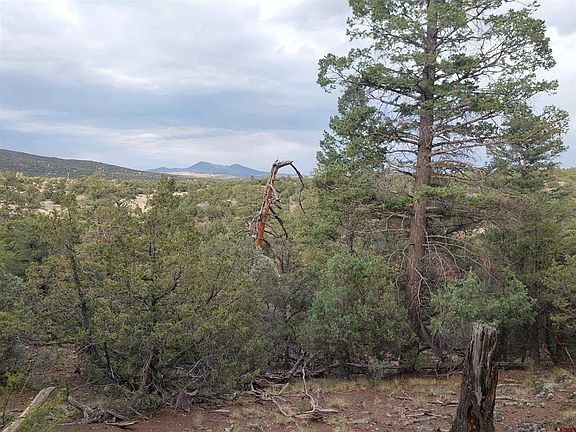 2nd image of 256 Sunrise Road
