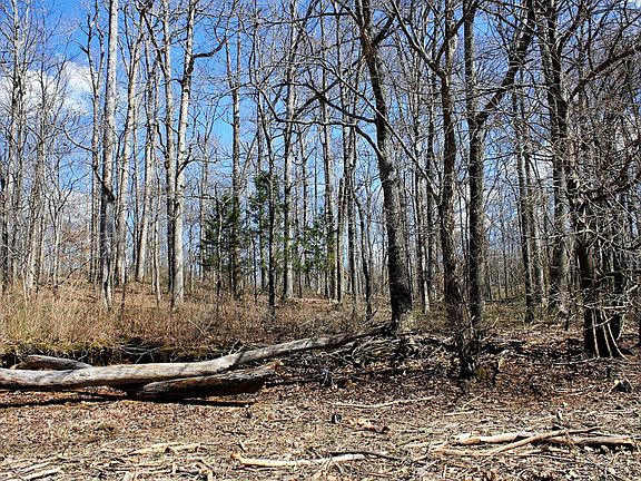 3rd image of 572 Eagle Shore Dr Lot 1