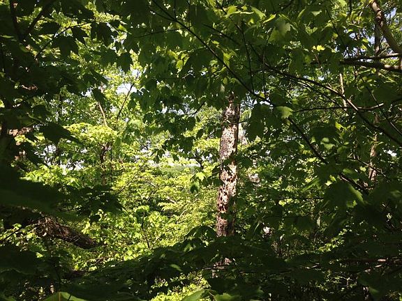 3rd image of 00 Meadow Dr