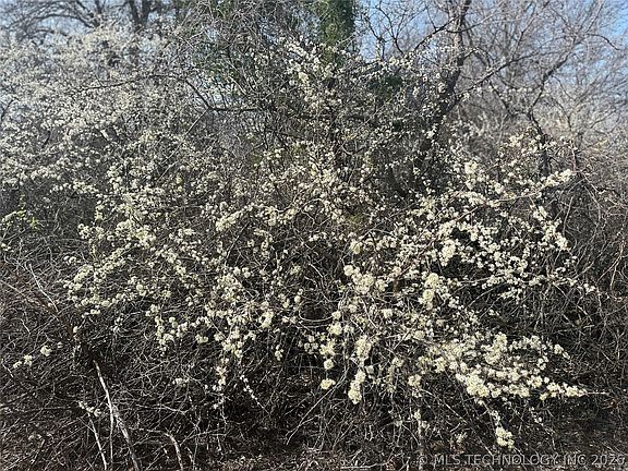 5th image of Bellview St