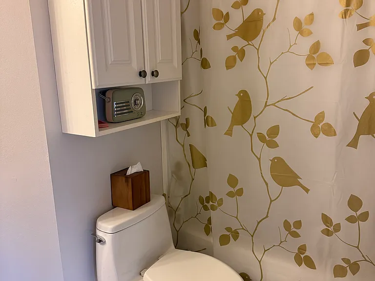 Upstairs bathroom with bathtub and shower combo.