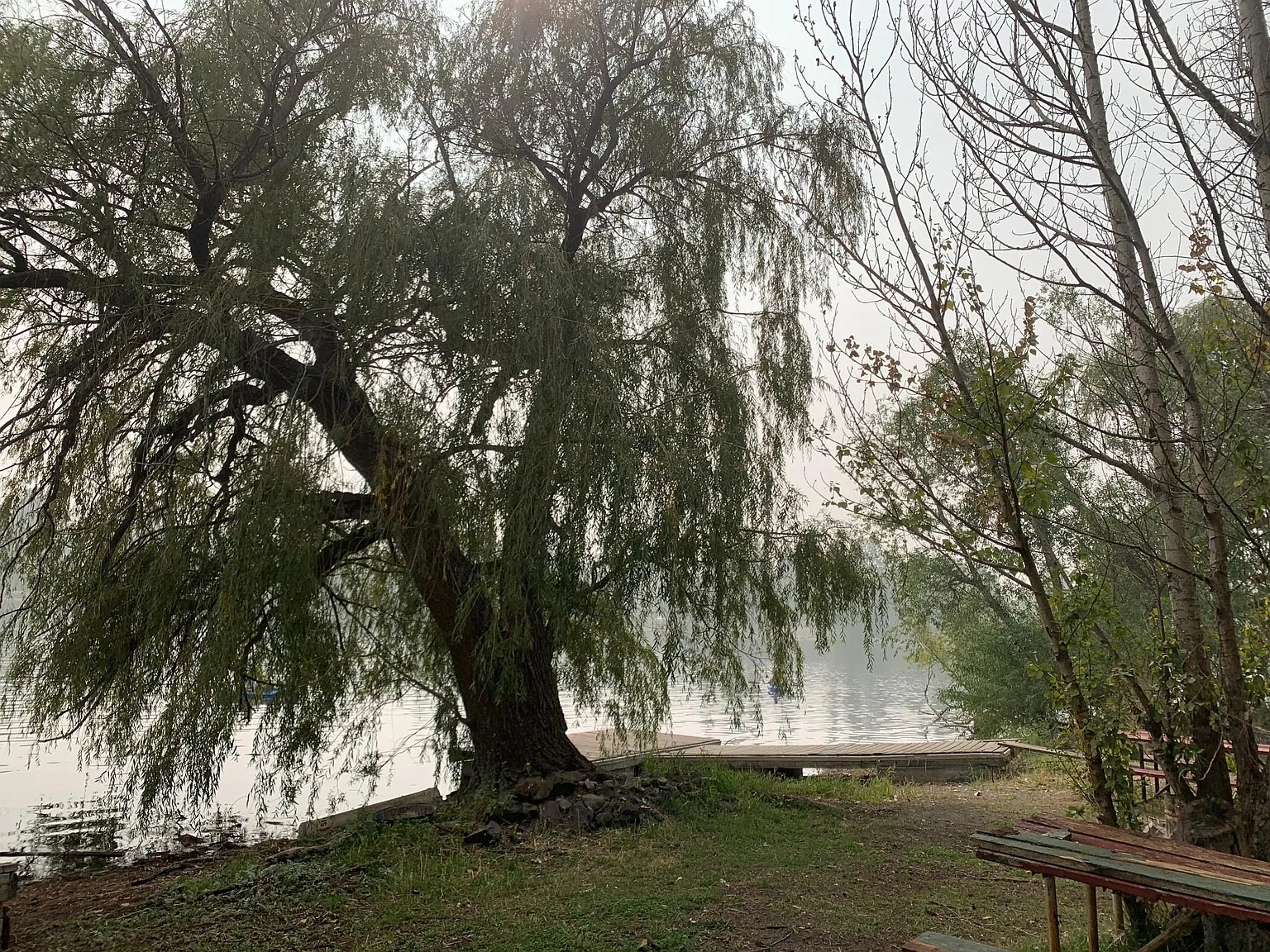 2 bed, 850 sqft, $1,660 — Photo 3