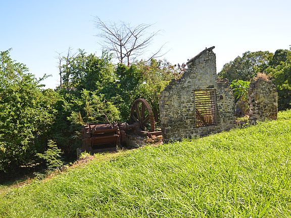 Sugarcane Press