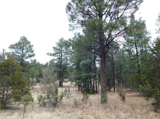 012B Homestead Dr, Overgaard, AZ 85933