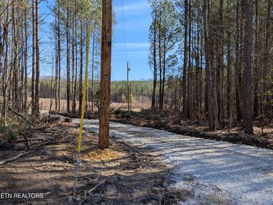 183 Union Hill Rd, Sunbright, TN, 37872