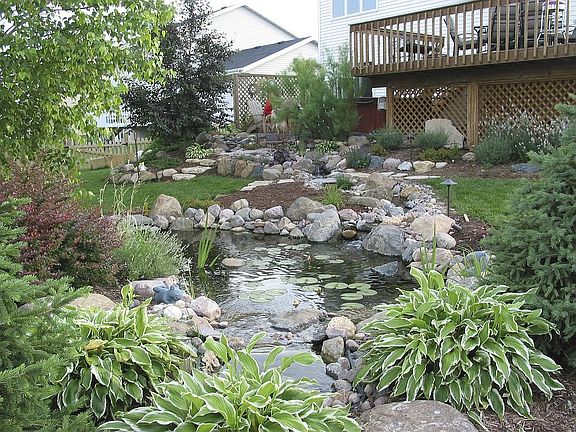 Back yard pond