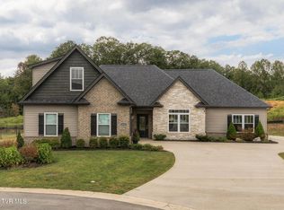 3320 Cottage Green Ct, Kingsport, TN 37664